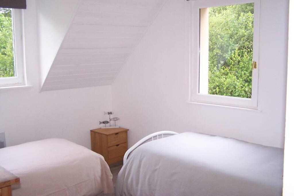 Maison Avec Jardin Clos. Animaux Acceptes - Wifi - Proche Plages De La Trinite Sur Mer Et Carnac Dış mekan fotoğraf